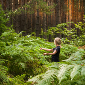 Metsäkylpyohjaaja® -koulutus